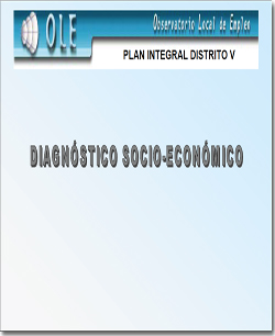 Diagnóstico Socio-económico. Plan Integral Distrito V